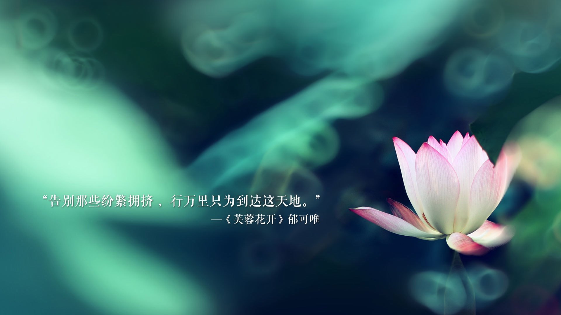 中国青少年篮球队国际交流赛事在多国成功举办，中国青少年篮球协会