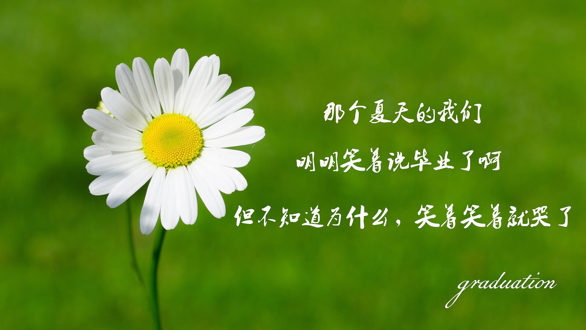 中国反曲弓女队在射箭世界杯韩国站获得团体银牌，反曲弓射箭比赛视频