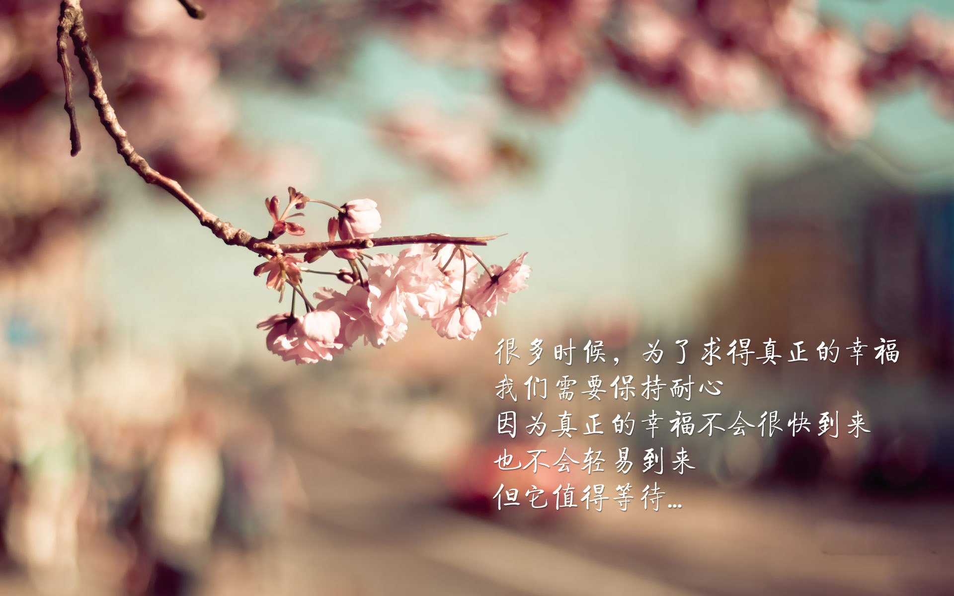 人主场取得惊险胜利，西蒙斯表现抢眼，西蒙斯视频集锦