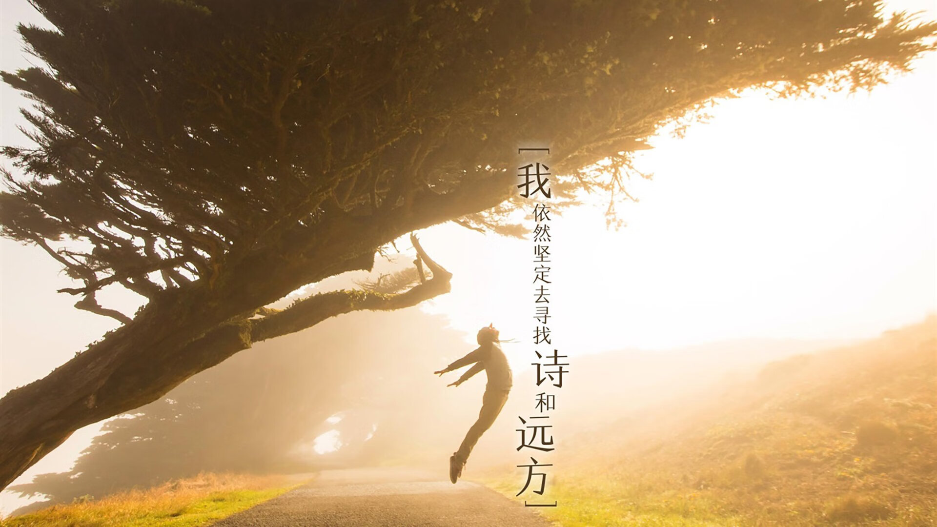 保利斯塔球队体能状况良好，保利斯丹属于什么档次