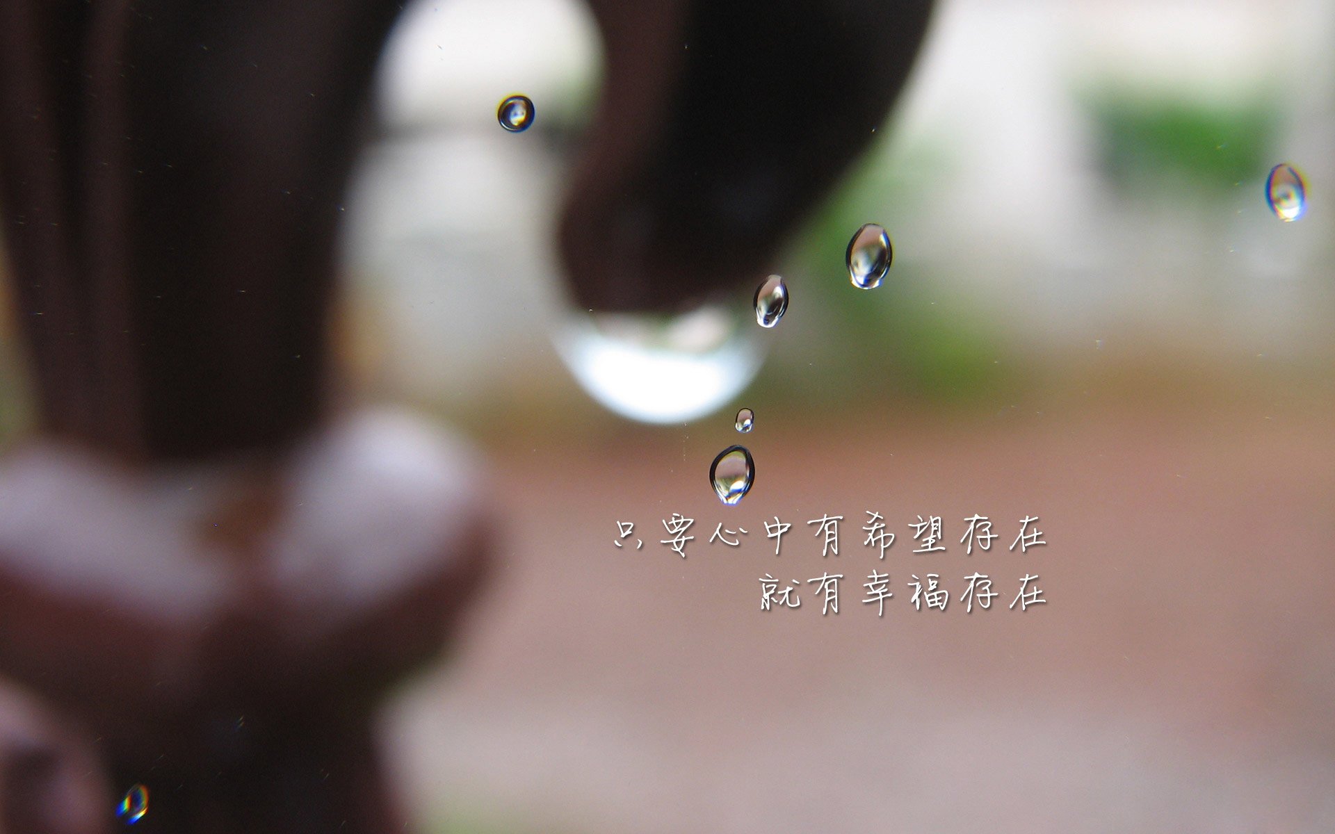 中国篮球联赛品牌营销与粉丝互动研究，篮球联赛介绍