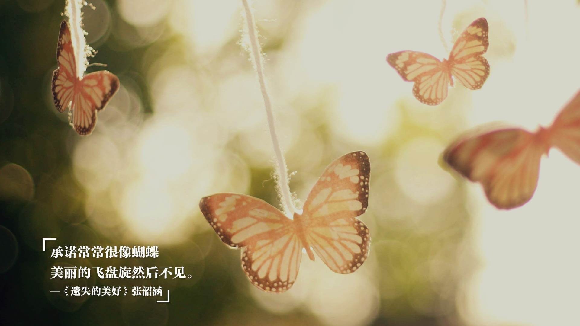 小组赛展现速度与中场控制优势，小组赛场次