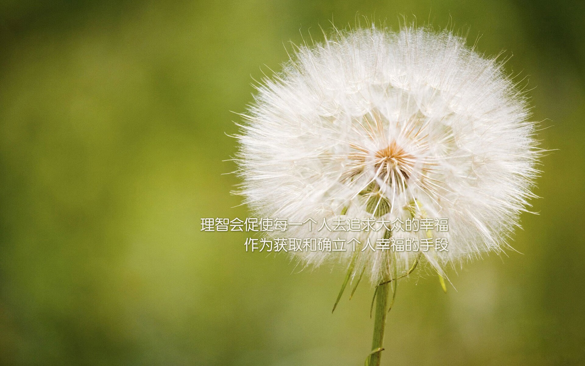 花样游泳青少年国家队成立 聚焦技术难度，花样游泳团体中国队