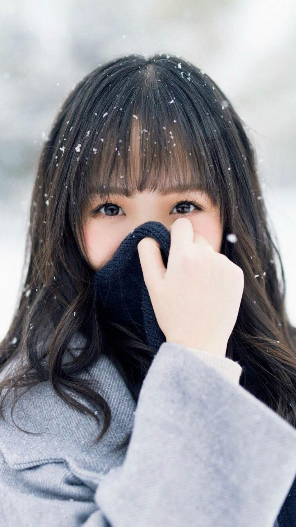 “美洲狮队顶级表现，重新定义阿根廷橄榄球”